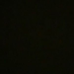 Meet your Posher, Savannah